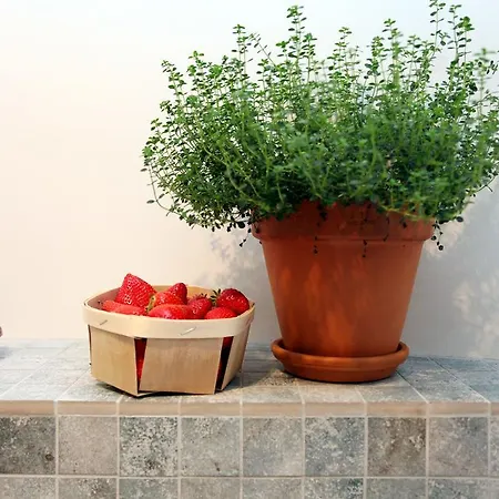 Apartamento Cote Safranier